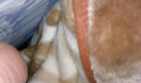 (Turki) video pertama saya fuck saya indo sex asian