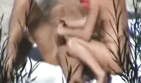 Besar Penis Untuk Mencuri Gal Brooke indosexjilbab