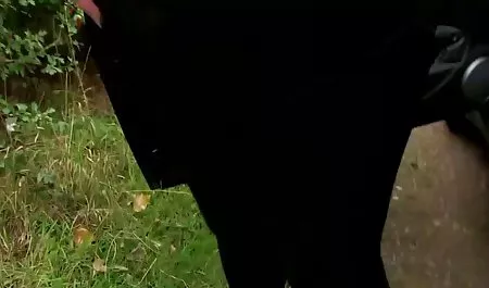 Anak-anak - hitam lebih baik - masalah dengan mesin bagian twitter indosex NAT Turner