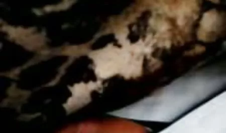 Menakjubkan petite remaja Naomi hutan pantat indosexvideo besar tebal kemaluan