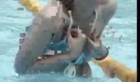 2018-02-20 indosexpns 12 57